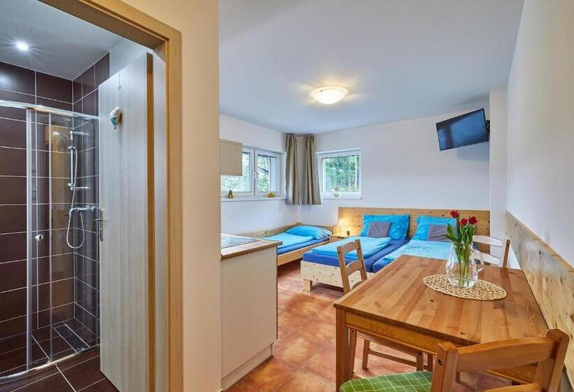 חדר סטנדרט, Skipension