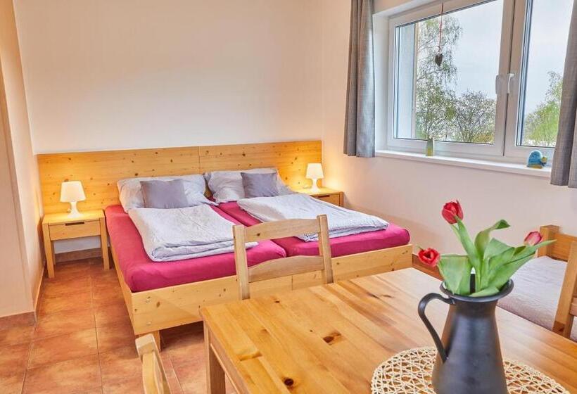 חדר סטנדרט לשלושה, Skipension