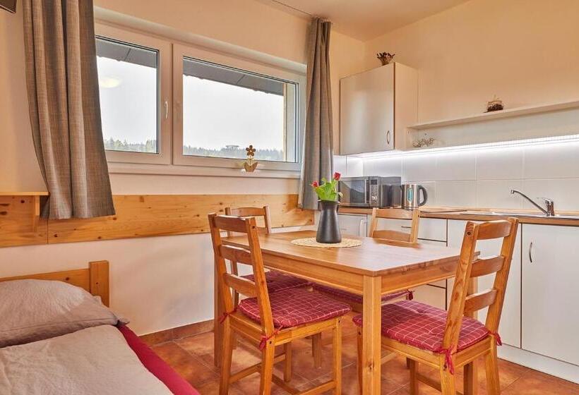 חדר סטנדרט לשלושה, Skipension