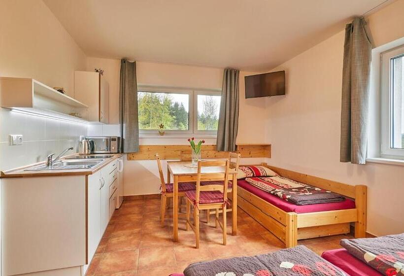 חדר סטנדרט לשלושה, Skipension