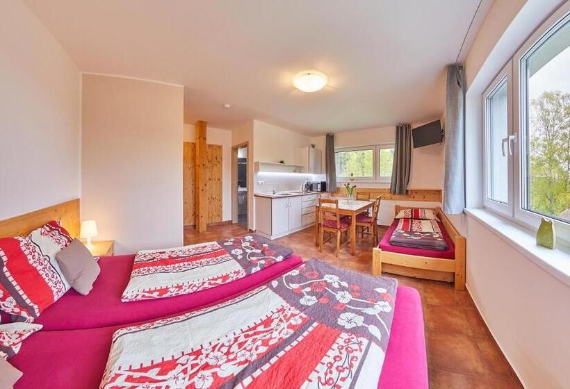 חדר סטנדרט לשלושה, Skipension