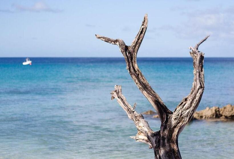 خانه 1 خوابه, Colleton Great House