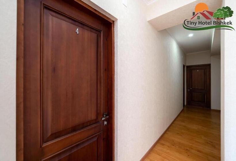 اتاق استاندارد یک نفره, Tiny Hotel Bishkek