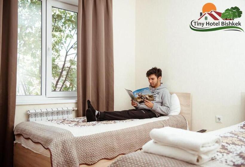 اتاق استاندارد, Tiny Hotel Bishkek