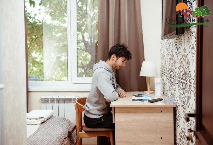 اتاق استاندارد یک نفره, Tiny Hotel Bishkek