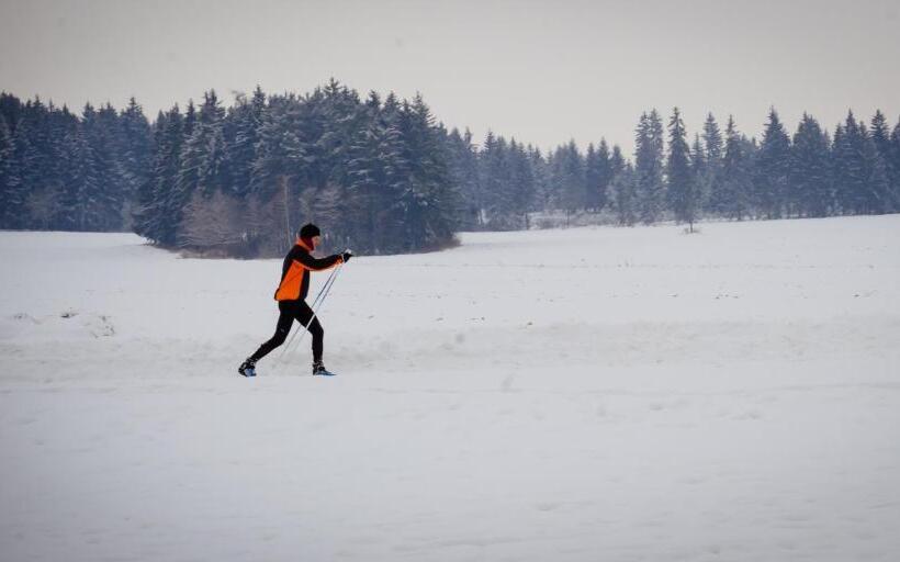 スタンダードルーム, Penzión ľadoveň Skvelá Kuchyňa A Rodinná Atmosféra