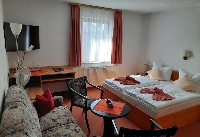 Номер Стандарт, Pension Voss