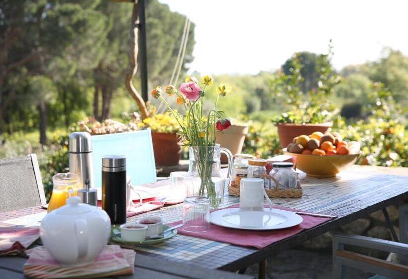 Номер Стандарт, Villa élancia