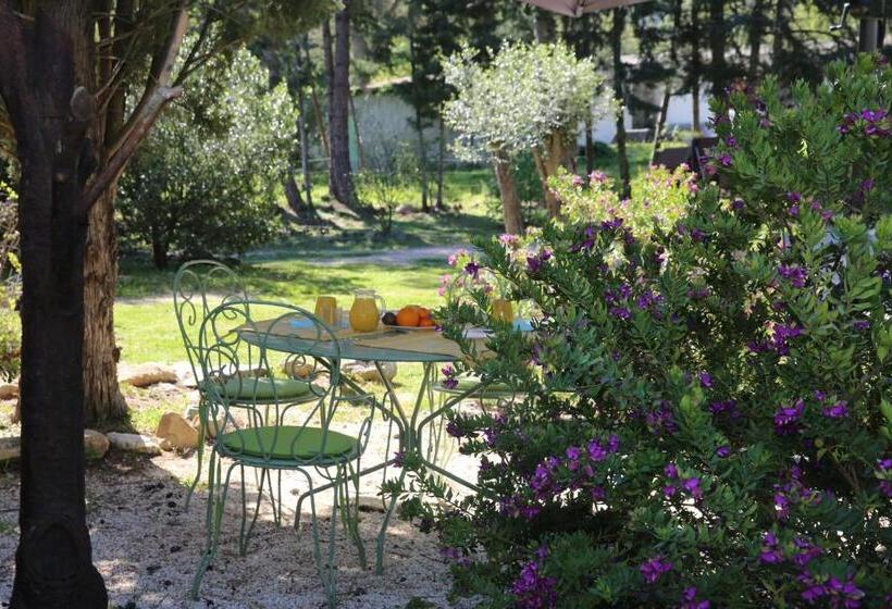 Номер Стандарт, Villa élancia