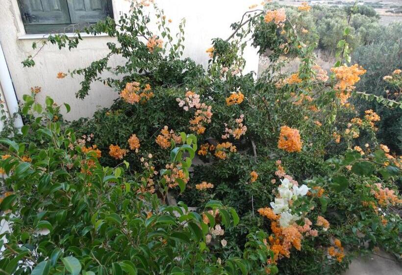 إستوديو سوبيريور, Avra Milos