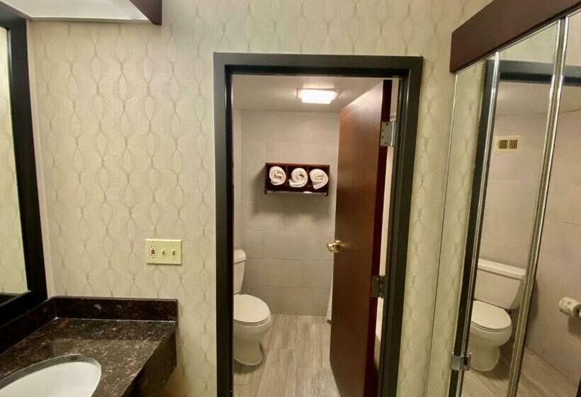 חדר סטנדרט עם מיטת קינג, Best Western Plus Houston Energy Corridor