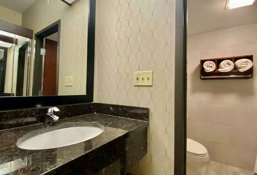 Standard-huone King-vuode, Best Western Plus Houston Energy Corridor