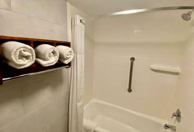 חדר סטנדרט עם מיטת קינג, Best Western Plus Houston Energy Corridor