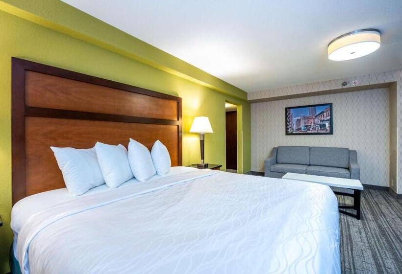Стандартный Номер Кровать Кинг, Best Western Plus Houston Energy Corridor