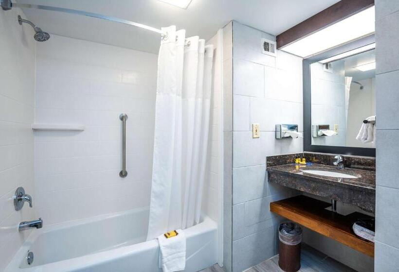 חדר סטנדרט עם מיטת קינג, Best Western Plus Houston Energy Corridor