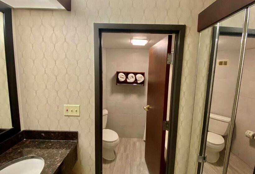 Люкс Кровать Кинг, Best Western Plus Houston Energy Corridor