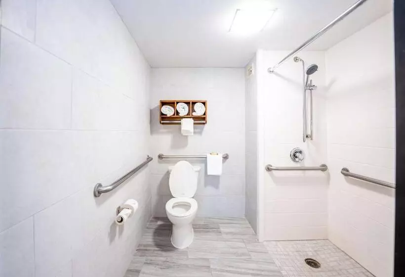 Standard-invahuone King-vuode, Best Western Plus Houston Energy Corridor