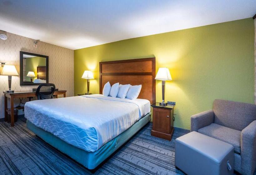 Номер Стандарт Кровать Кинг Адаптированный для Инвалидов, Best Western Plus Houston Energy Corridor