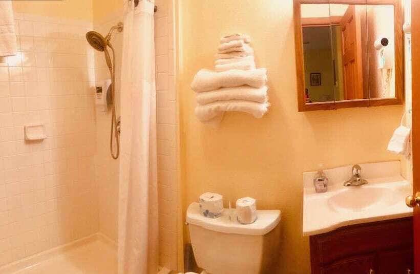 غرفة قياسية سرير مزدوج, Driftwood Inn