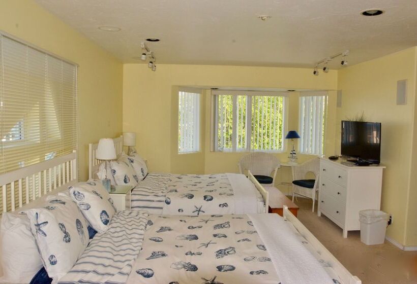 غرفه قياسيه سريرين مزدوجين, Driftwood Inn