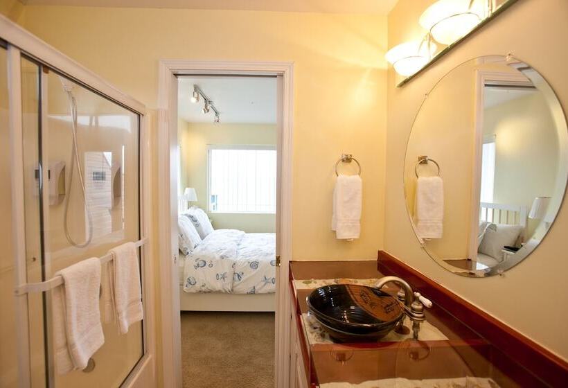 غرفة قياسية, Driftwood Inn