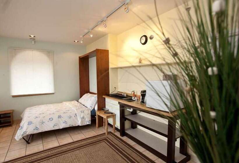 غرفة قياسية, Driftwood Inn