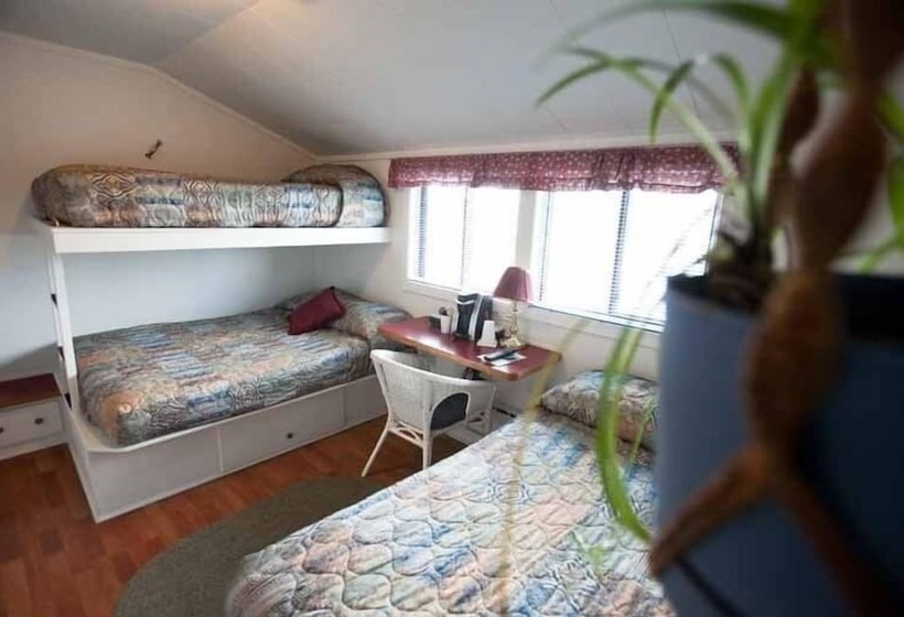 标准间, Driftwood Inn