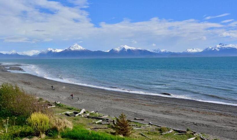 غرفة قياسية, Driftwood Inn