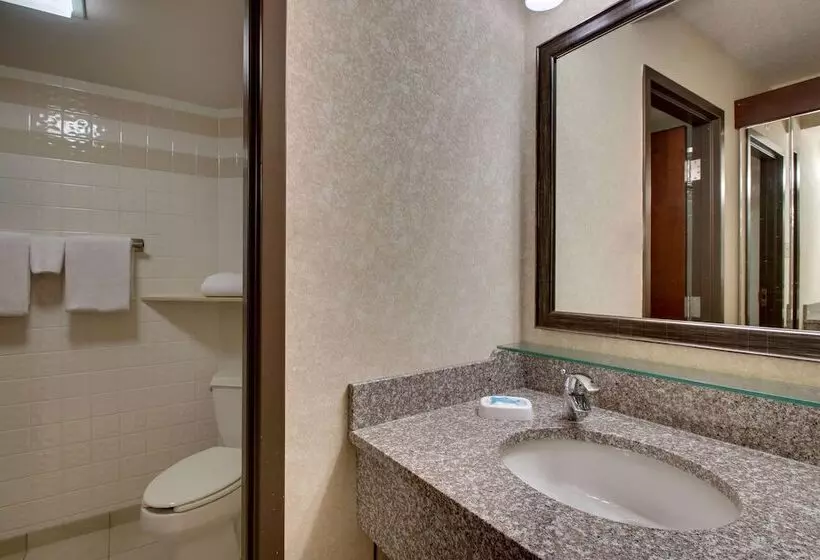 سوییت, Drury Inn & Suites Cape Girardeau