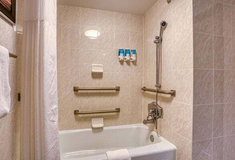 障害者適応デラックスルーム, Drury Inn & Suites St. Louis Fairview Heights