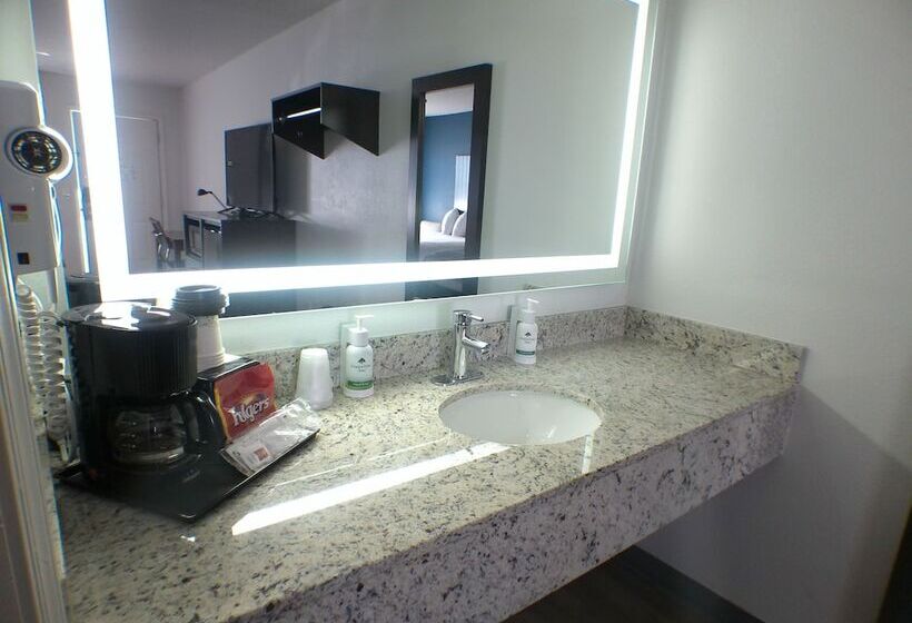 ２ダブルベッドのスタンダードルーム, Greentree Inn Of Holbrook, Az