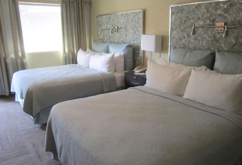 غرفة سوبيريور, Inn At East Beach