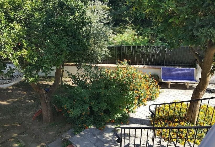 标准间, B&b Massico Apartments