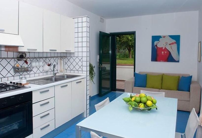 带1个卧室的公寓, B&b Massico Apartments