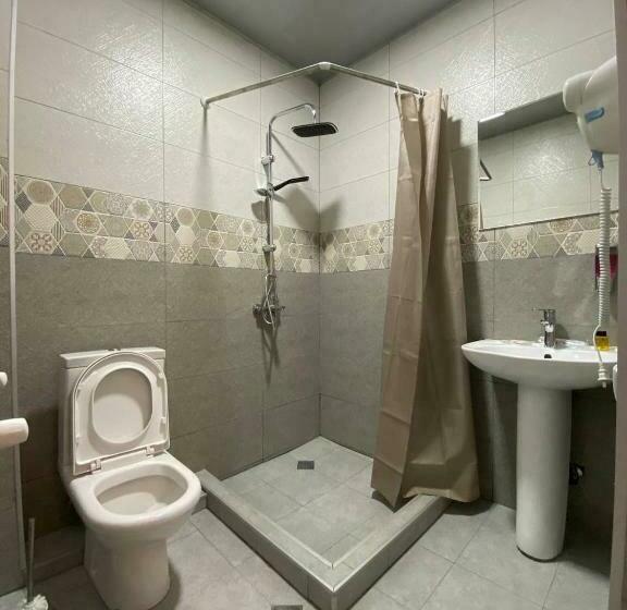 اتاق استاندارد, Traveler