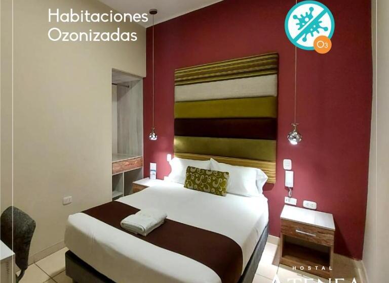 اتاق استاندارد یک نفره, Hostal Atenea