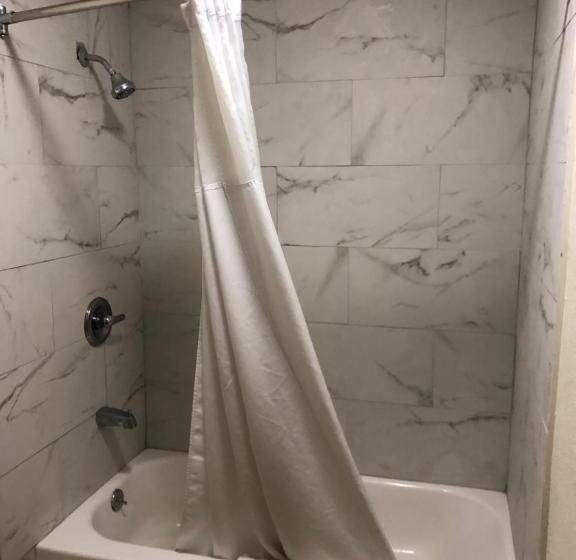 带大床的标准间, Palomino Motel