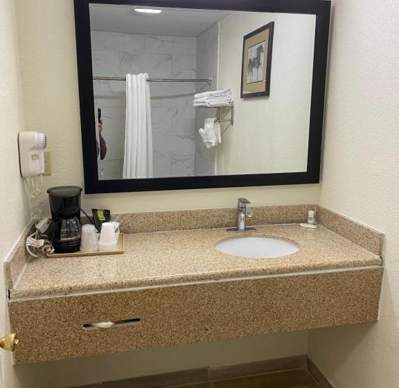 标准间, Palomino Motel