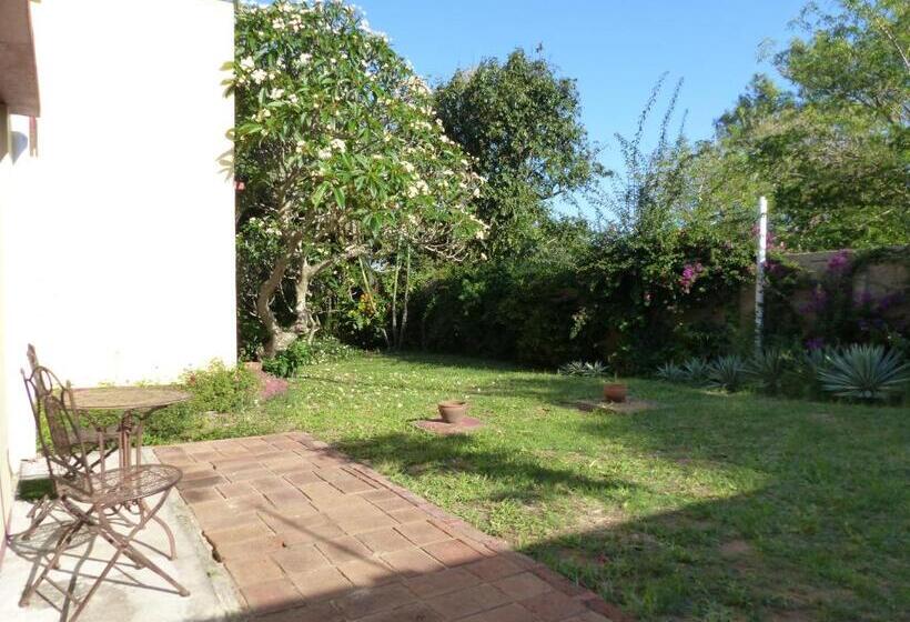 جناح مزود بتراس, Ancha's Oasis