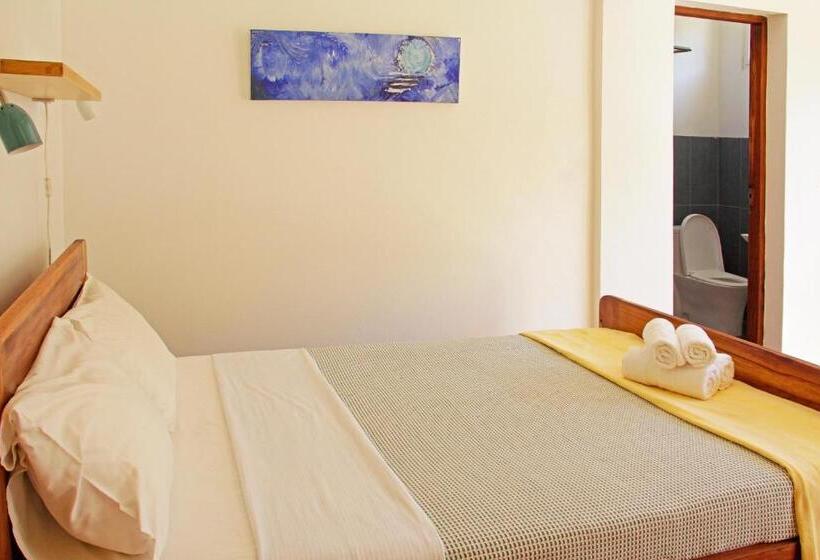 جناح مطلّ علي الحديقة, Ancha's Oasis