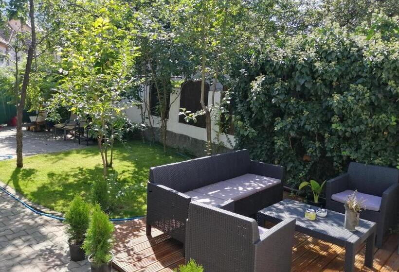 Cameră Standard cu Vedere la Munte, Casa Scheiana