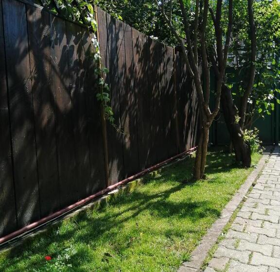 Vilă superioară cu un singur dormitor, Casa Scheiana
