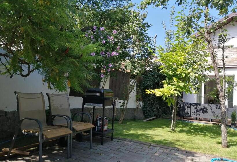 Cameră Familiară cu Vedere la Munte, Casa Scheiana