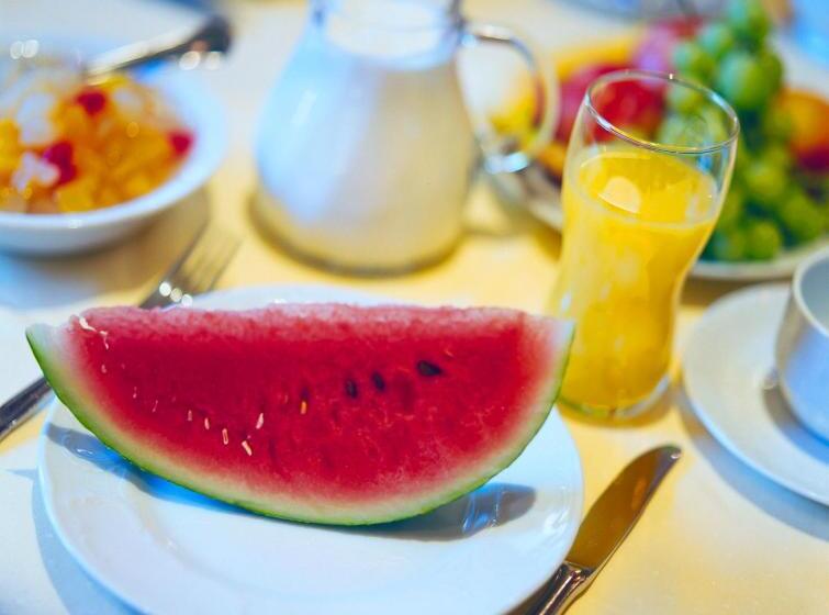 جناح جونيور مزوَّد بشرفة, Garni Hanslerhof  Urlaub Am Bauernhof