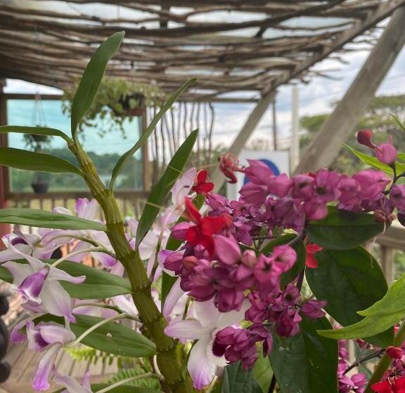 חדר דלוקס, Sapê Guest