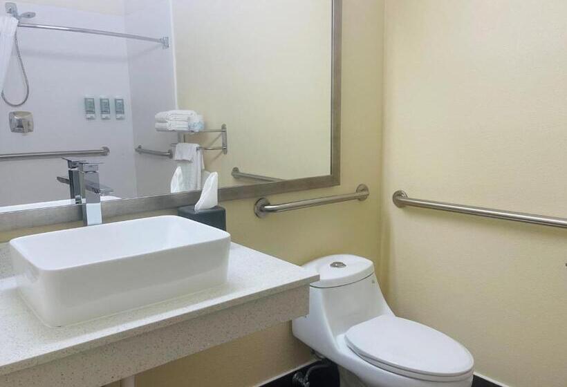 غرفة قياسية سرير كينج لذوى الإحتياجات الخاصة, Best Western Kokomo