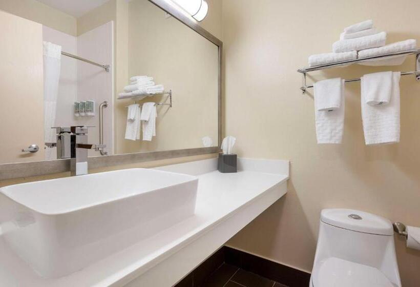 스위트 킹사이즈 침대, Best Western Kokomo