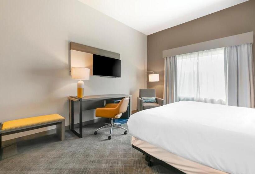 اتاق استاندارد با تخت بزرگ, Comfort Inn & Suites Houma
