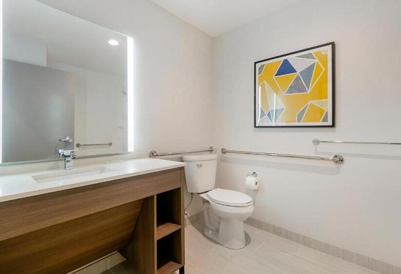 غرفة قياسية سرير كينج, Comfort Inn & Suites Houma