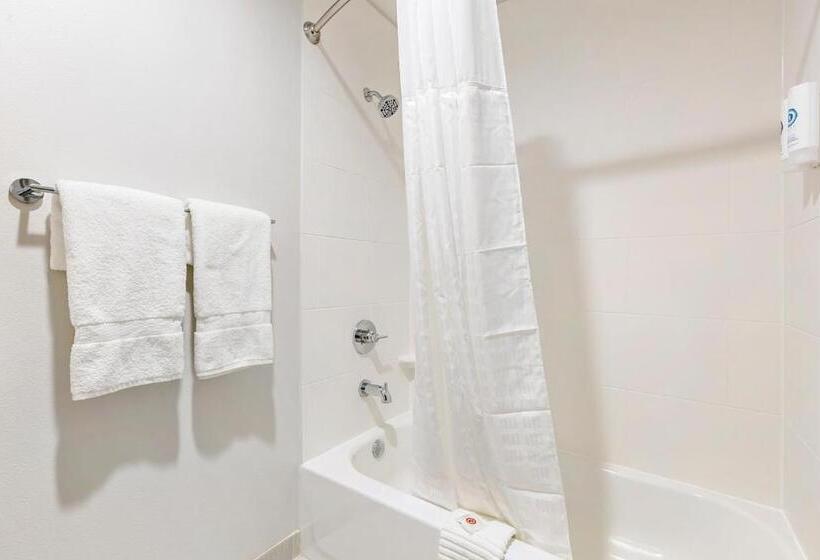 غرفة قياسية رباعية, Comfort Inn & Suites Houma